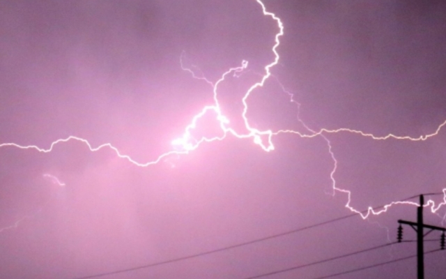 High-margin electrical reliability.
